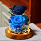 Lighted Rose Teddy Box