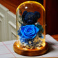 Lighted Rose Teddy Box