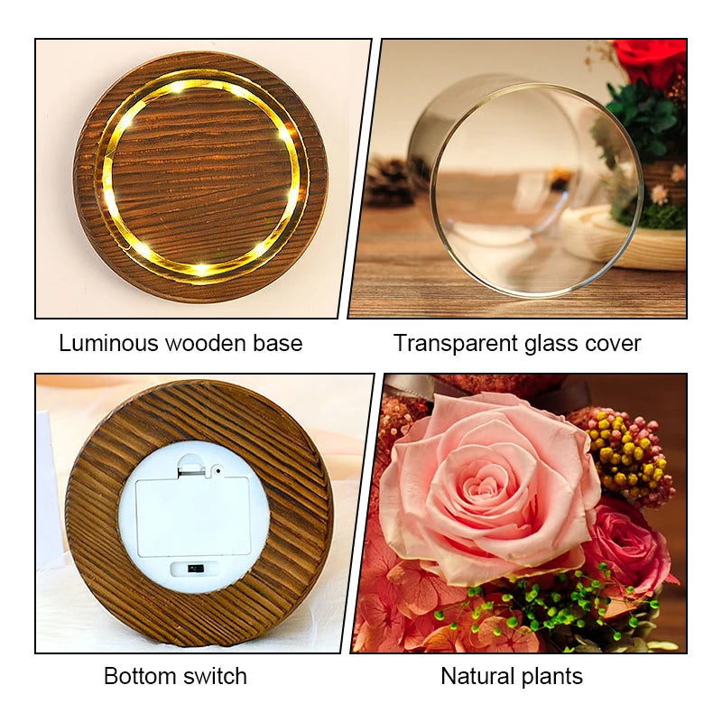 Preserved Rose Teddy Gift Box