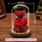 Preserved Rose Teddy Gift Box