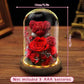Lighted Rose Teddy Box