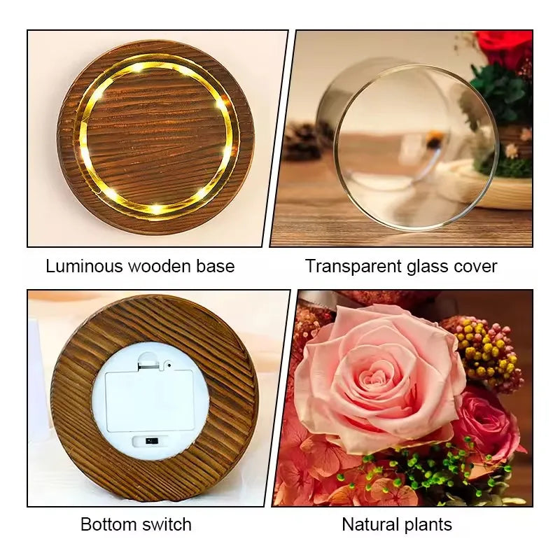 Lighted Rose Teddy Box