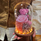 Preserved Rose Teddy Gift Box