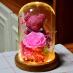 Eternal Rose Teddy Set — view 7