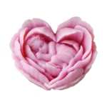 Angel Heart Candle Mold — view 12