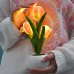 Glowing Tulip Lamp