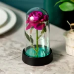 Glass Dome Rose with Fairy Lights — photo 10