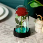 Glass Dome Rose with Fairy Lights — photo 8